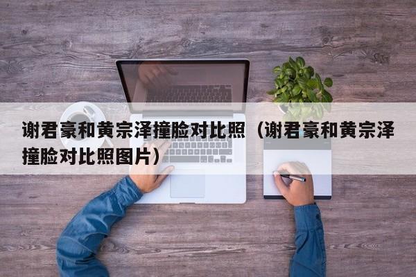 谢君豪和黄宗泽撞脸对比照(谢君豪和黄宗泽撞脸对比照图片)