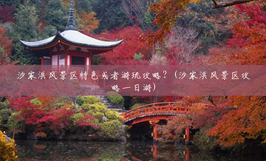沙家浜风景区特色或者游玩攻略?(沙家浜风景区攻略一日游) 沙家浜风景区特色或者游玩攻略?(沙家浜风景区攻略一日游)