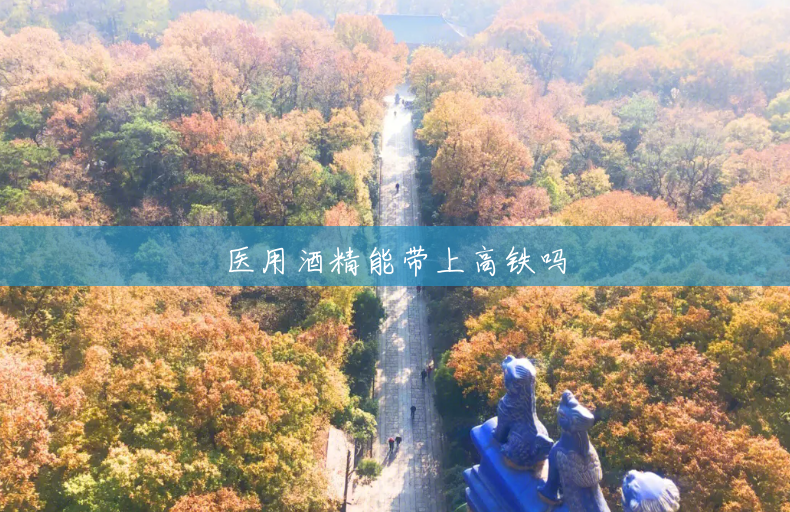 医用酒精能带上高铁吗 医用酒精能带上高铁吗