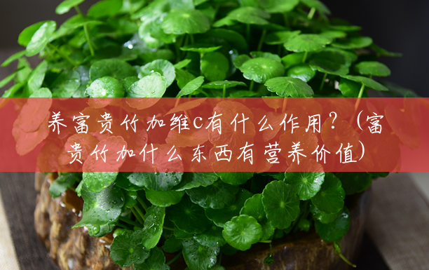 养富贵竹加维c有什么作用?(富贵竹加什么东西有营养价值) 养富贵竹加维c有什么作用?(富贵竹加什么东西有营养价值)