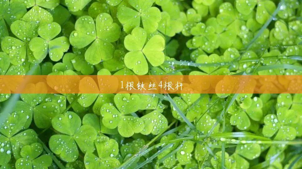 1根铁丝4根杆 1根铁丝4根杆