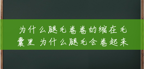 为什么腿毛卷卷的缩在毛囊里 为什么腿毛会卷起来 为什么腿毛卷卷的缩在毛囊里 为什么腿毛会卷起来