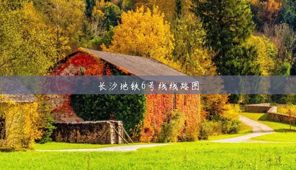 长沙地铁6号线线路图 长沙地铁6号线线路图