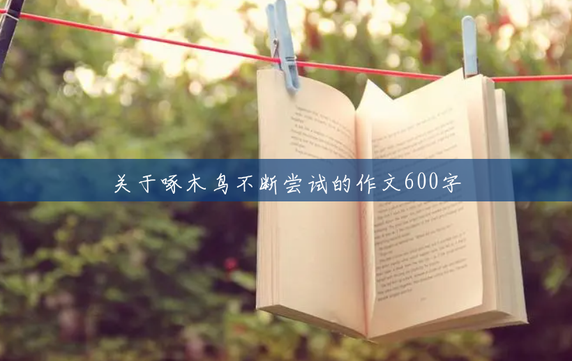 关于啄木鸟不断尝试的作文600字 关于啄木鸟不断尝试的作文600字
