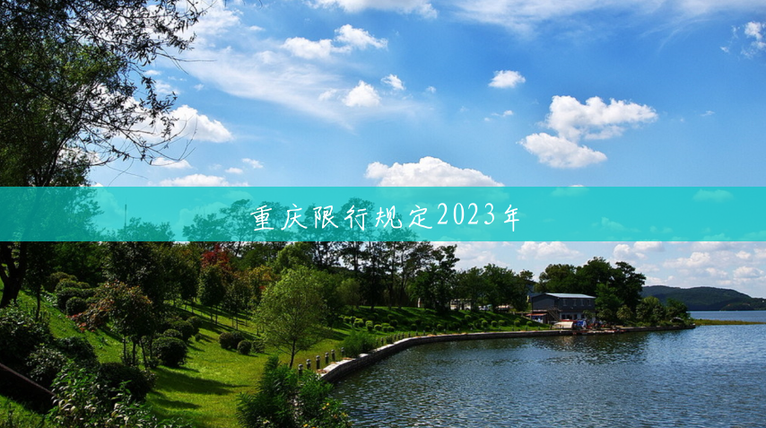 重庆限行规定2023年 重庆限行规定2023年