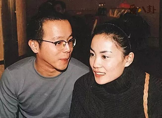 窦唯王菲为什么离婚,王菲窦唯哪年离的婚(窦唯和王菲什么时候离的婚) 本文共(5445字)