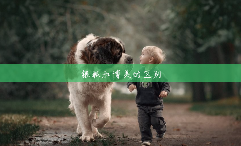 银狐和博美的区别 银狐和博美的区别
