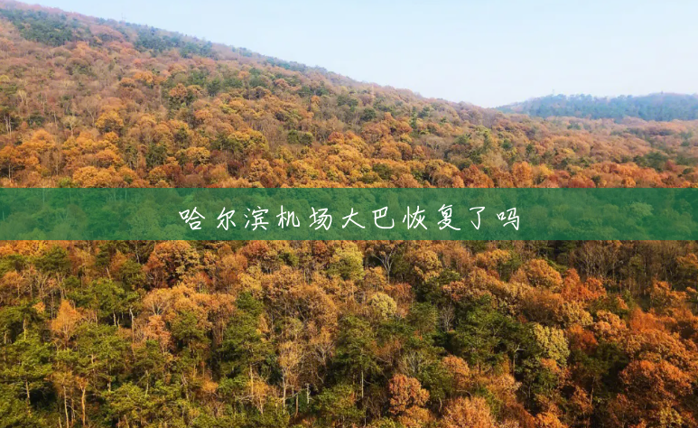 哈尔滨机场大巴恢复了吗