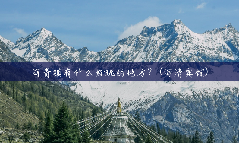 海青镇有什么好玩的地方？(海清宾馆)