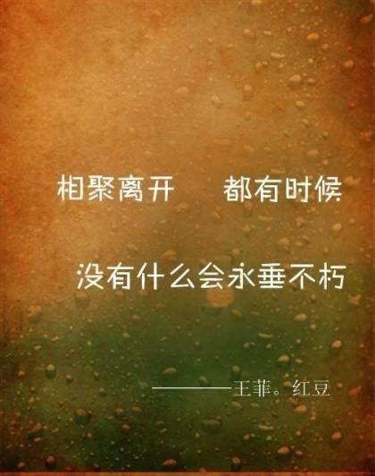 短情话很甜很撩人