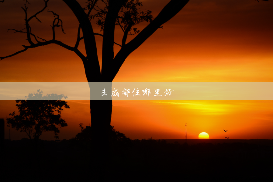 去成都住哪里好 去成都住哪里好