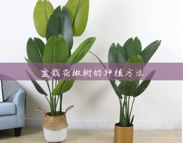 盆栽花椒树的种植方法 盆栽花椒树的种植方法