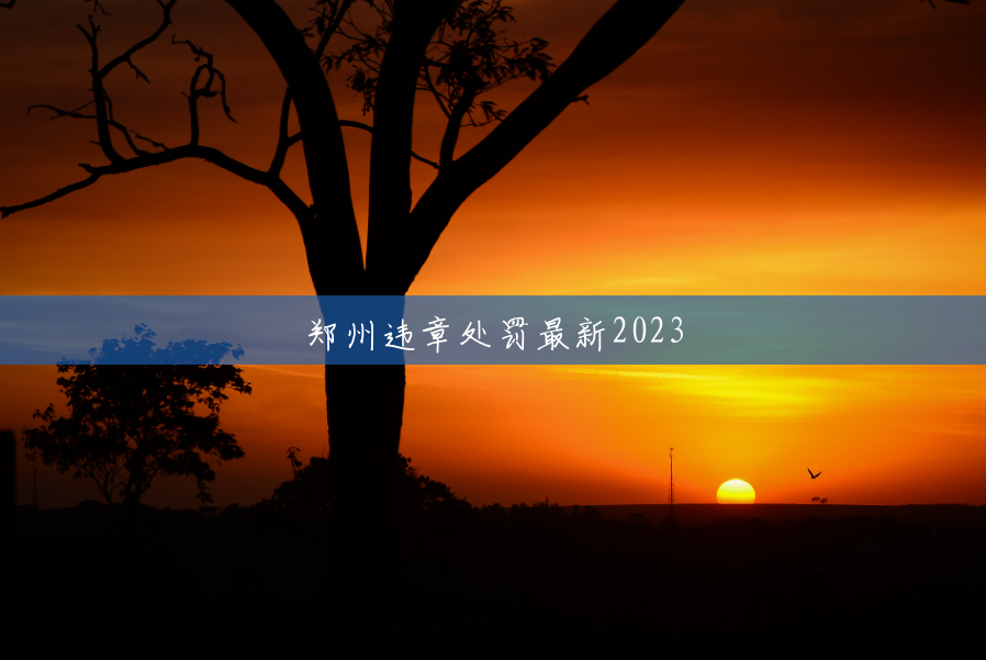 郑州违章处罚最新2023