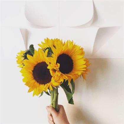 老爸生日祝福语8个字