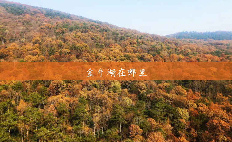 金牛湖在哪里 金牛湖在哪里