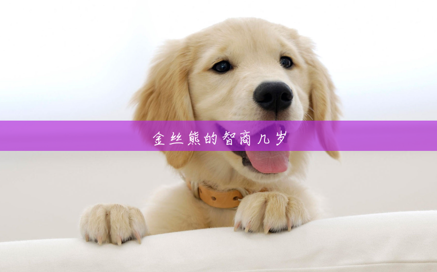 金丝熊的智商几岁 金丝熊的智商几岁