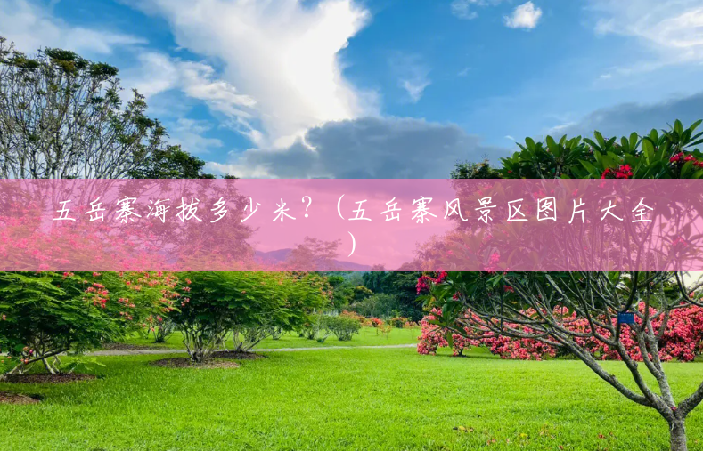 五岳寨海拔多少米?(五岳寨风景区图片大全) 五岳寨海拔多少米?(五岳寨风景区图片大全)
