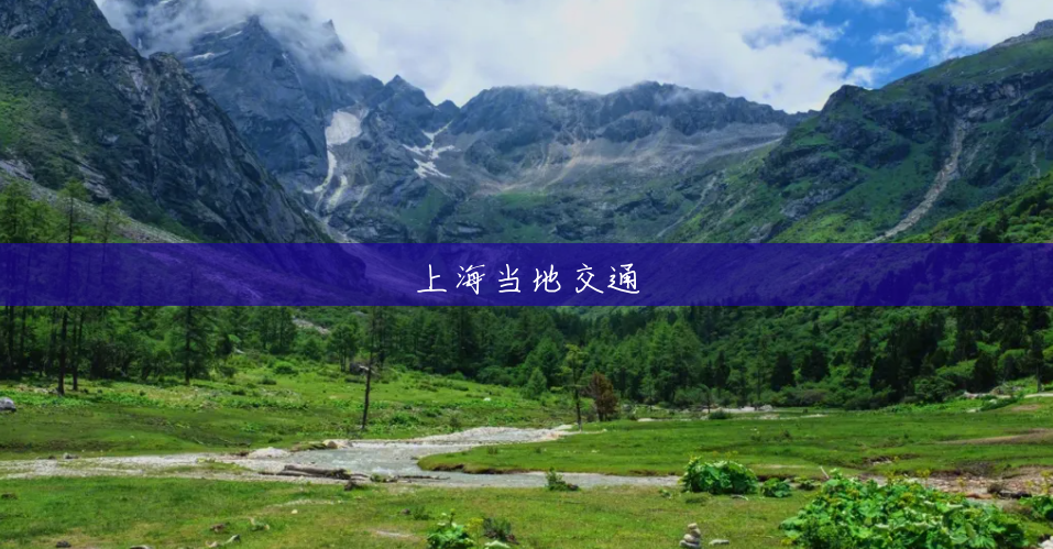 上海当地交通 上海当地交通