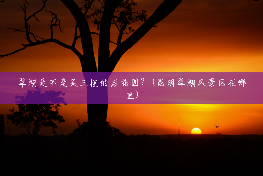 翠湖是不是吴三桂的后花园?(昆明翠湖风景区在哪里) 翠湖是不是吴三桂的后花园?(昆明翠湖风景区在哪里)