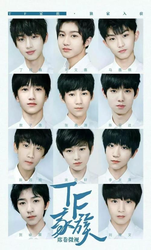 tf家族成员资料,TF家族里面都有谁(tf家族二代27人名字) 本文共(10233字)