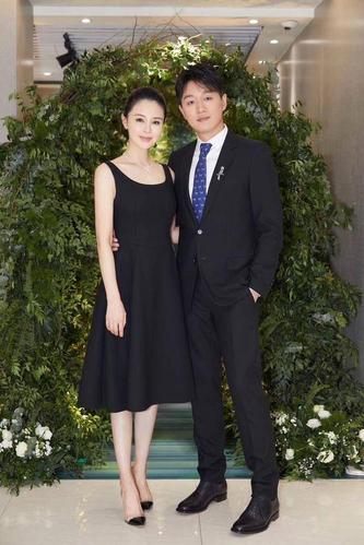 佟大为老婆，丁嘉丽（王丽坤） 本文共（4785字）