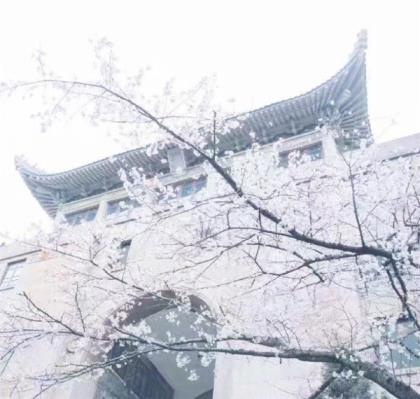 心很累失望伤感说说家庭事