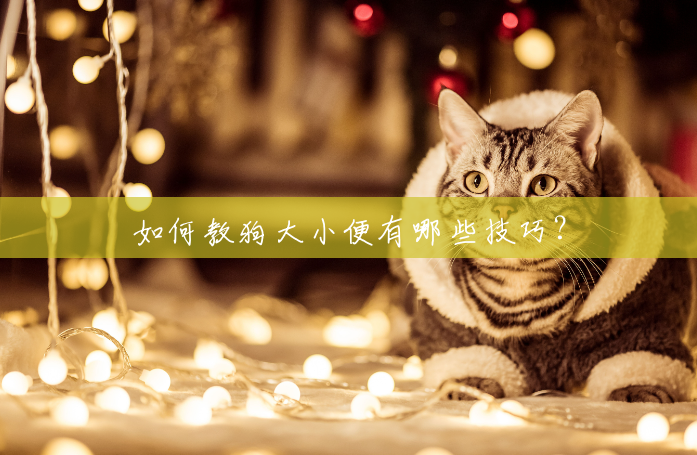 如何教狗大小便有哪些技巧？