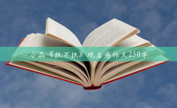 小品《扶不扶》观后感作文250字 小品《扶不扶》观后感作文250字