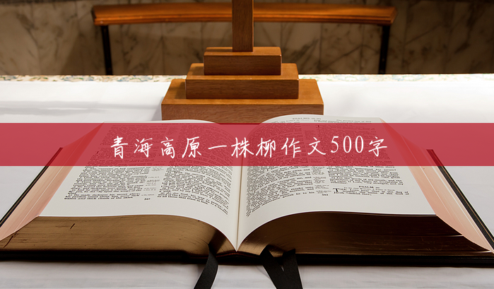 青海高原一株柳作文500字 青海高原一株柳作文500字