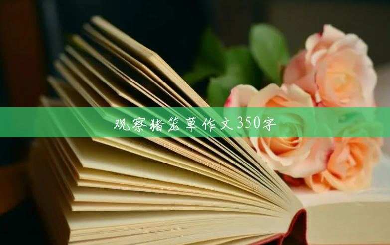 观察猪笼草作文350字 观察猪笼草作文350字