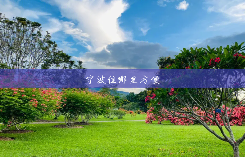 宁波住哪里方便 宁波住哪里方便