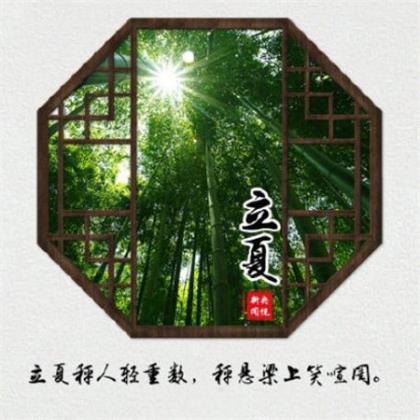 qq空间说说赞不显示