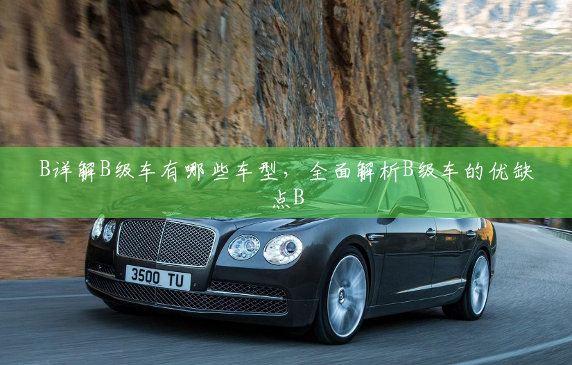 B详解B级车有哪些车型,全面解析B级车的优缺点B B详解B级车有哪些车型,全面解析B级车的优缺点B