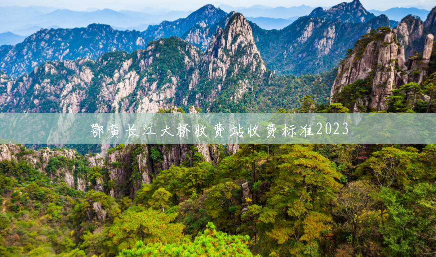 鄂黄长江大桥收费站收费标准2023 鄂黄长江大桥收费站收费标准2023