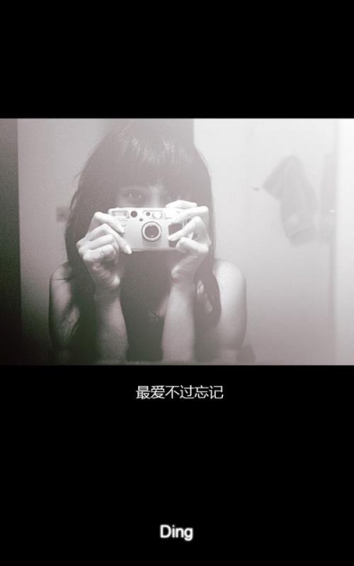 保护动物的环保标语有哪些