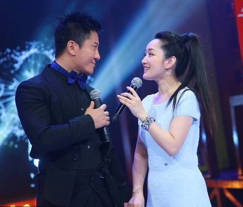 毛宁结婚了吗,毛宁现状(鲍毅年龄) 本文共(5995字)