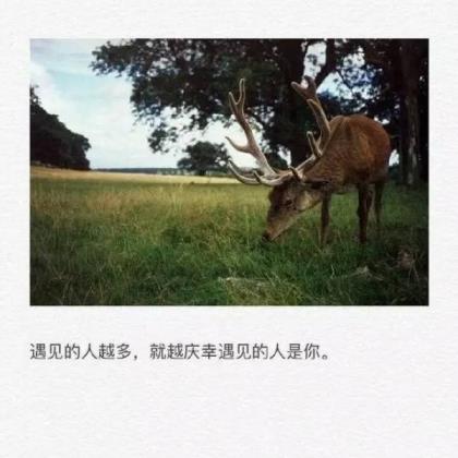 微笑唯美句子短句