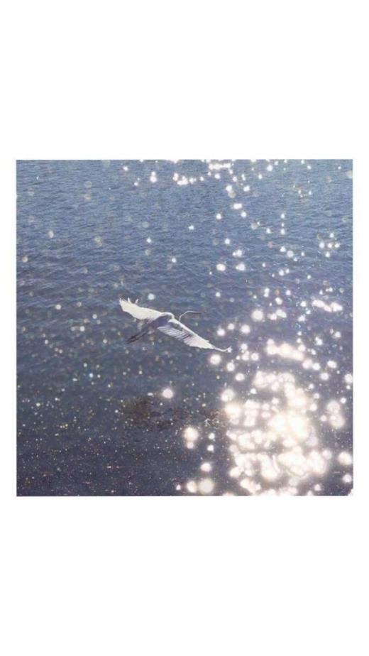 花篮祝福语