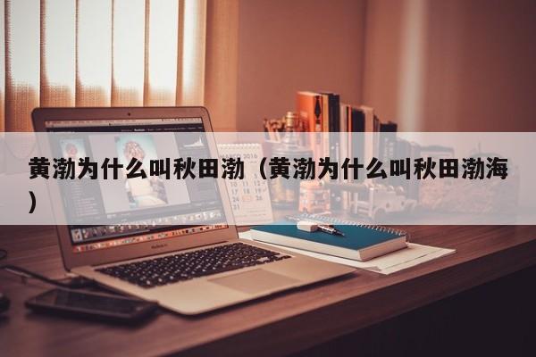 黄渤为什么叫秋田渤（黄渤为什么叫秋田渤海） 