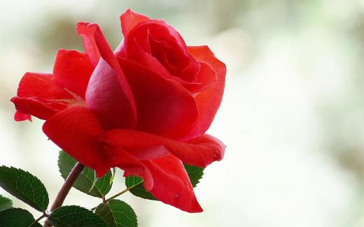 一句话经典语录搞笑
