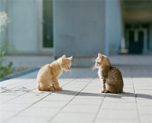 想放弃的伤感的短语