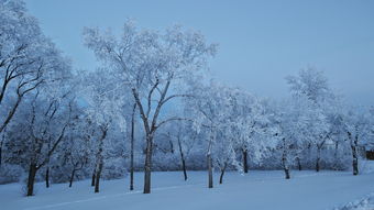 二月芬兰酒店游玩攻略，带你领略北欧冬日风情