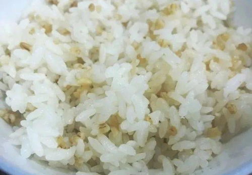 一个人一天适宜吃多少米？探索最佳米饭摄入量