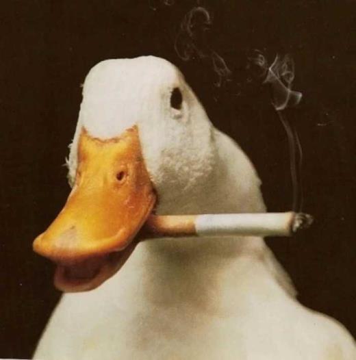 女生霸气说说超拽冷酷简短句子
