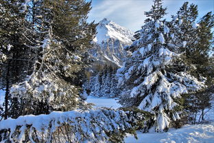 二月瑞士六日游：雪景美如画，尽享冬季魅力！