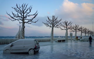 加拿大五日游:冬季探索极光与雪景之旅 加拿大五日游:冬季探索极光与雪景之旅
