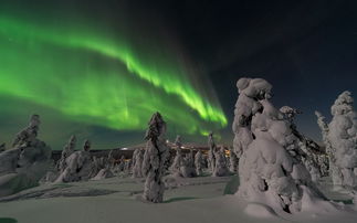 二月芬兰自由行：冬季探索北欧风情