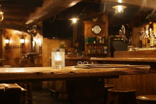 二月份芝加哥酒店:选择合适的住宿体验 二月份芝加哥酒店:选择合适的住宿体验