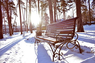 二月瑞典七日游：冬季探索北欧风情