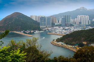一月香港自驾游费用（一月香港自驾游费用详解：省钱又玩得尽兴！）